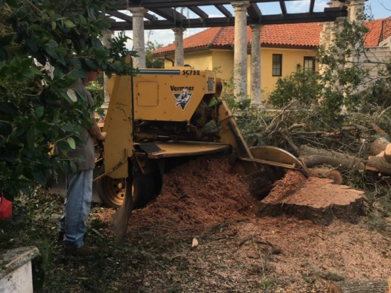 Storm Damage Cleanup Services in Florida » OKCC Services » Professional Storm Debris Removal and Property Restoration Experts » OKCCServices.com