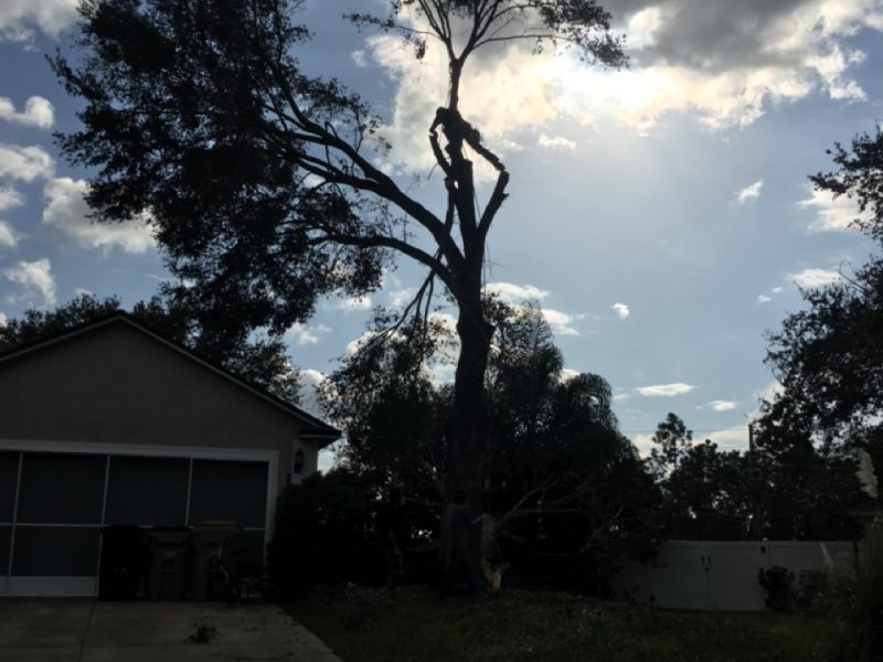 Storm Damage Cleanup Services in Florida » OKCC Services » Professional Storm Debris Removal and Property Restoration Experts » OKCCServices.com