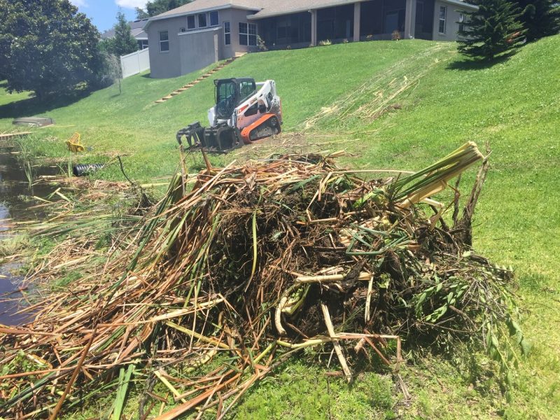 Lake Clearing and Cleanup Services in Florida » OKCC Services » Expert Debris Removal and Maintenance for Clean, Healthy Lakes » OKCCServices.com