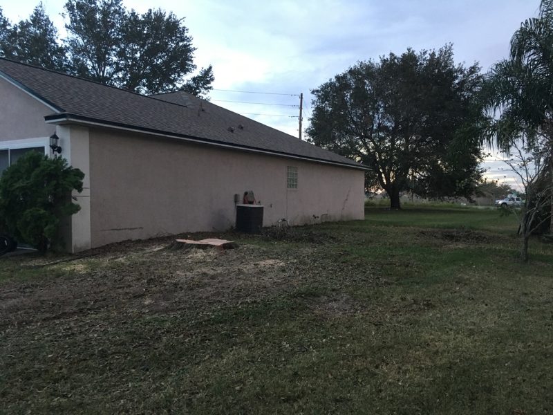Tree and Stump Removal 2 » Quality Construction Services in Clermont OKC Construction Services, Inc. » OKCCServices.com Tree and Stump Removal Services in Florida » OKC Construction Services » OKCCServices.com