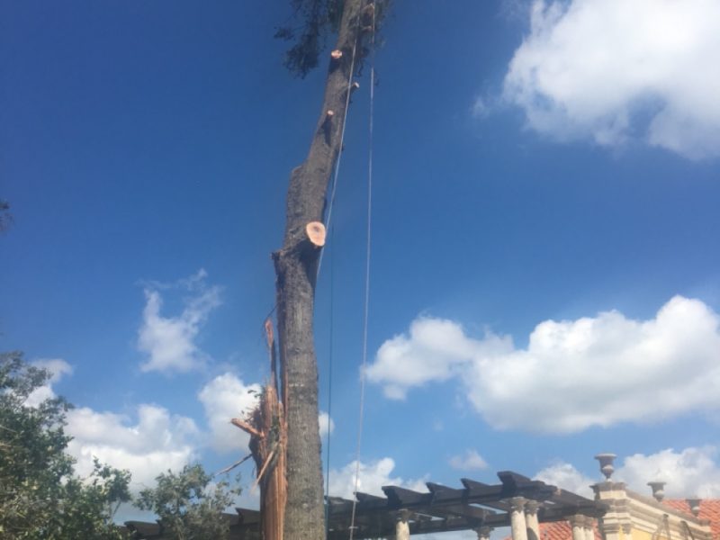 Storm Damage Cleanup Storm Damage Cleanup, Tree Removal, and Site Restoration Services in Florida » OKC Construction Services » OKCCServices.com