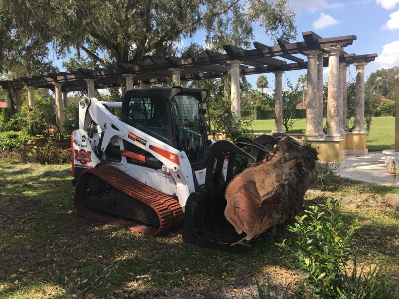 Tree and Stump Removal 3 » Quality Construction Services in Clermont OKC Construction Services, Inc. » OKCCServices.com Tree and Stump Removal Services in Florida » OKC Construction Services » OKCCServices.com