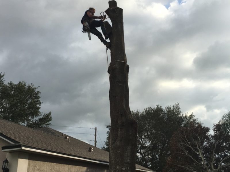 Storm Damage Cleanup Services in Florida » OKCC Services » Professional Storm Debris Removal and Property Restoration Experts » OKCCServices.com