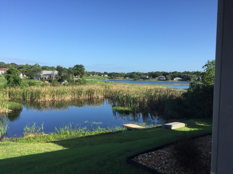 Lake Clearing and Cleanup Services in Florida » OKCC Services » Expert Debris Removal and Maintenance for Clean, Healthy Lakes » OKCCServices.com