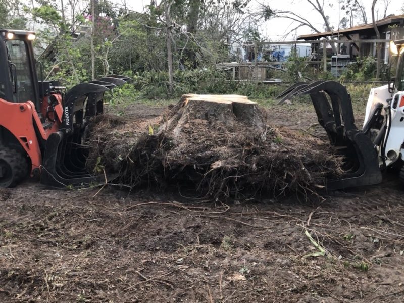 Tree and Stump Removal 1 » Quality Construction Services in Clermont OKC Construction Services, Inc. » OKCCServices.com Tree and Stump Removal Services in Florida » OKC Construction Services » OKCCServices.com