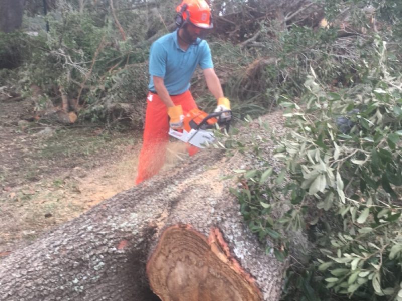 Storm Damage Cleanup Services in Florida » OKCC Services » Professional Storm Debris Removal and Property Restoration Experts » OKCCServices.com