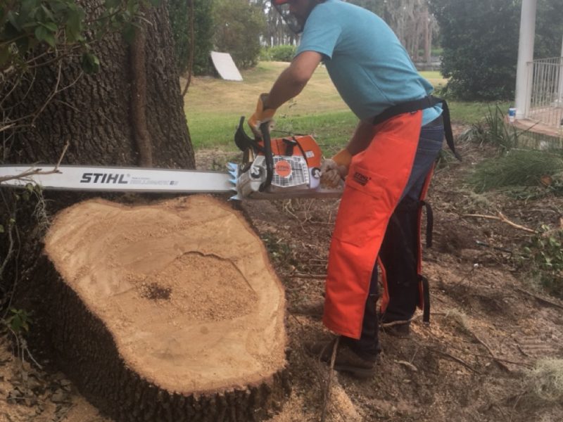 Storm Damage Cleanup Services in Florida » OKCC Services » Professional Storm Debris Removal and Property Restoration Experts » OKCCServices.com